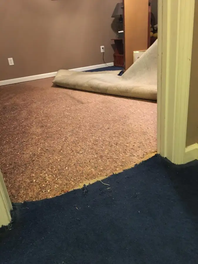 Carpet pad removal revealing water damage during Drying & Dehumidification in Willistown