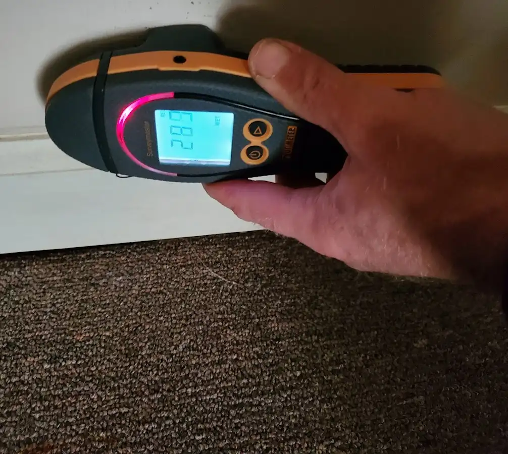 Moisture detection at baseboard during Sewage Cleanup & Sanitation in Willistown